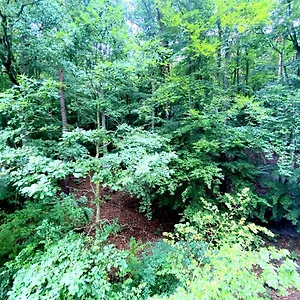 Forest - 23 Marca By Grand , Sopot Polska